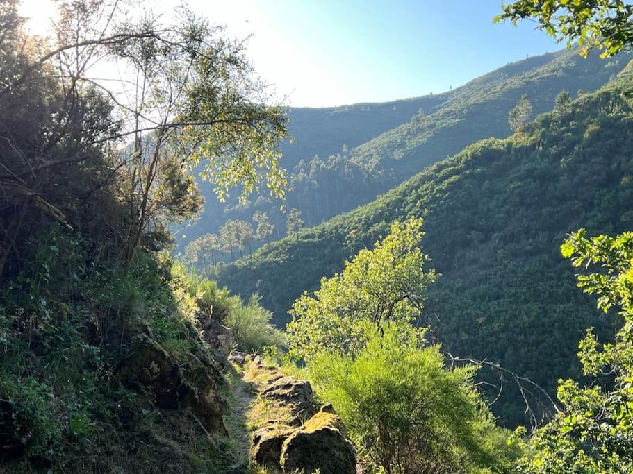 Casinha Do Sol - Natureza & Lazer - Serra Da Freita Арока Екстериор снимка