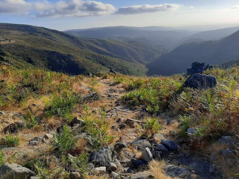 Casinha Do Sol - Natureza & Lazer - Serra Da Freita Арока Екстериор снимка
