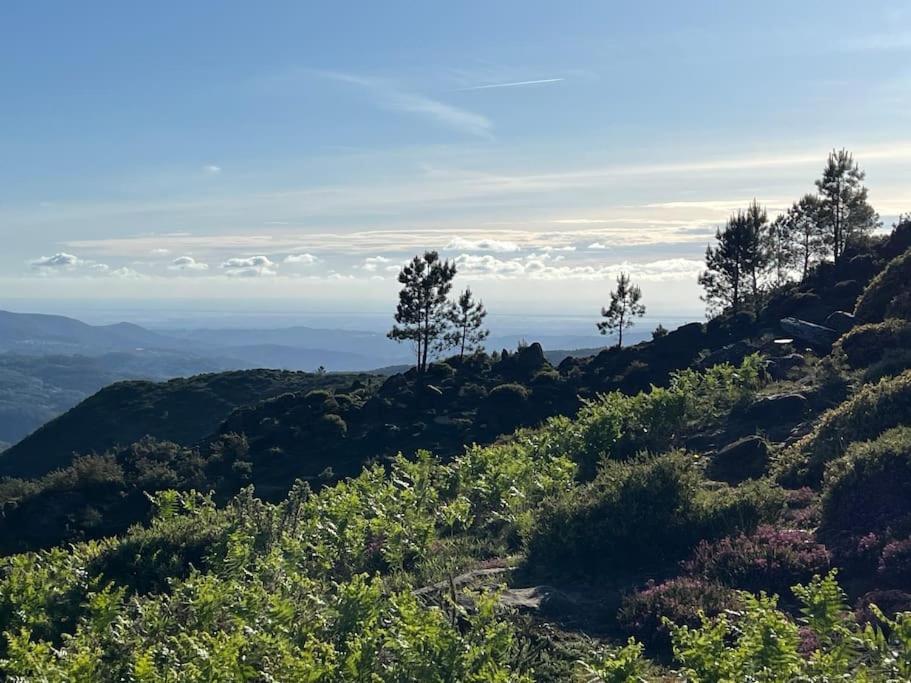 Casinha Do Sol - Natureza & Lazer - Serra Da Freita Арока Екстериор снимка