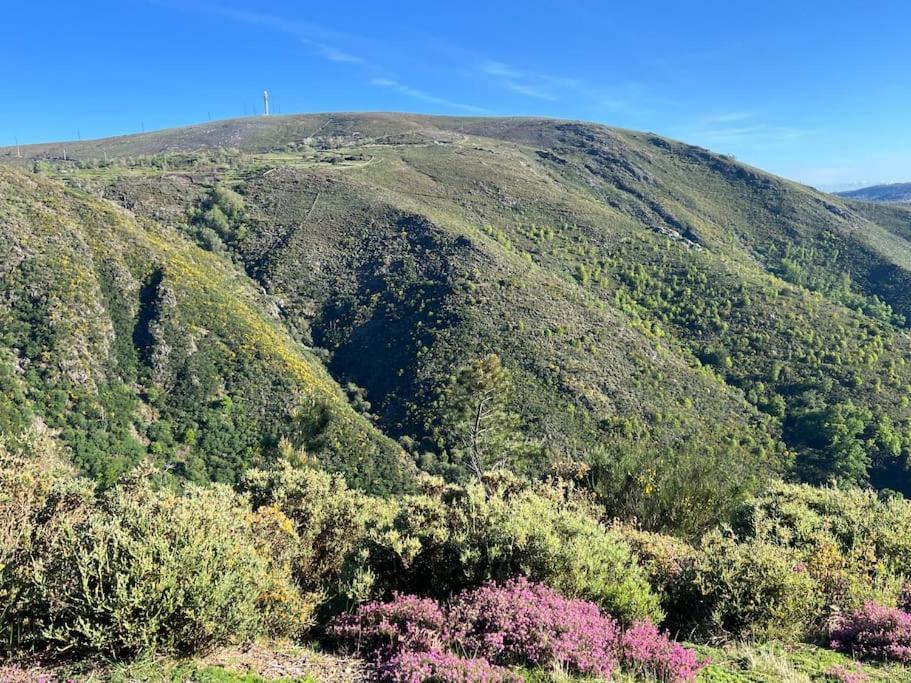 Casinha Do Sol - Natureza & Lazer - Serra Da Freita Арока Екстериор снимка